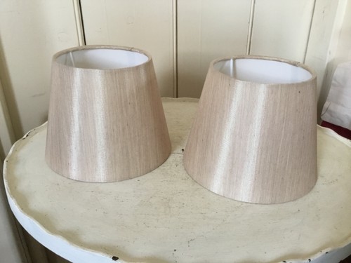Pair slub silk - silk, type